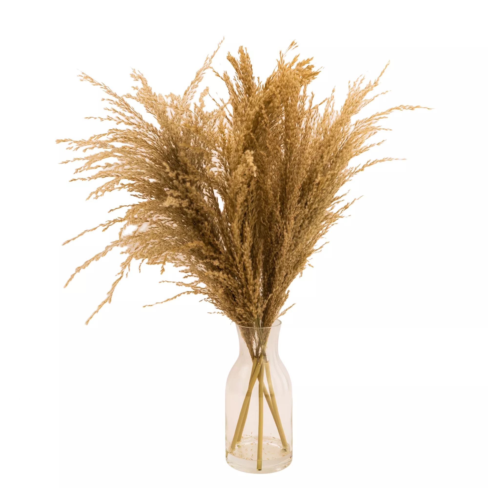 49cm Natural Pampas Grass Artificial Plant In Clear Glass Vase 1 49cm Natural Pampas Grass Artificial Plant In Clear Glass Vase