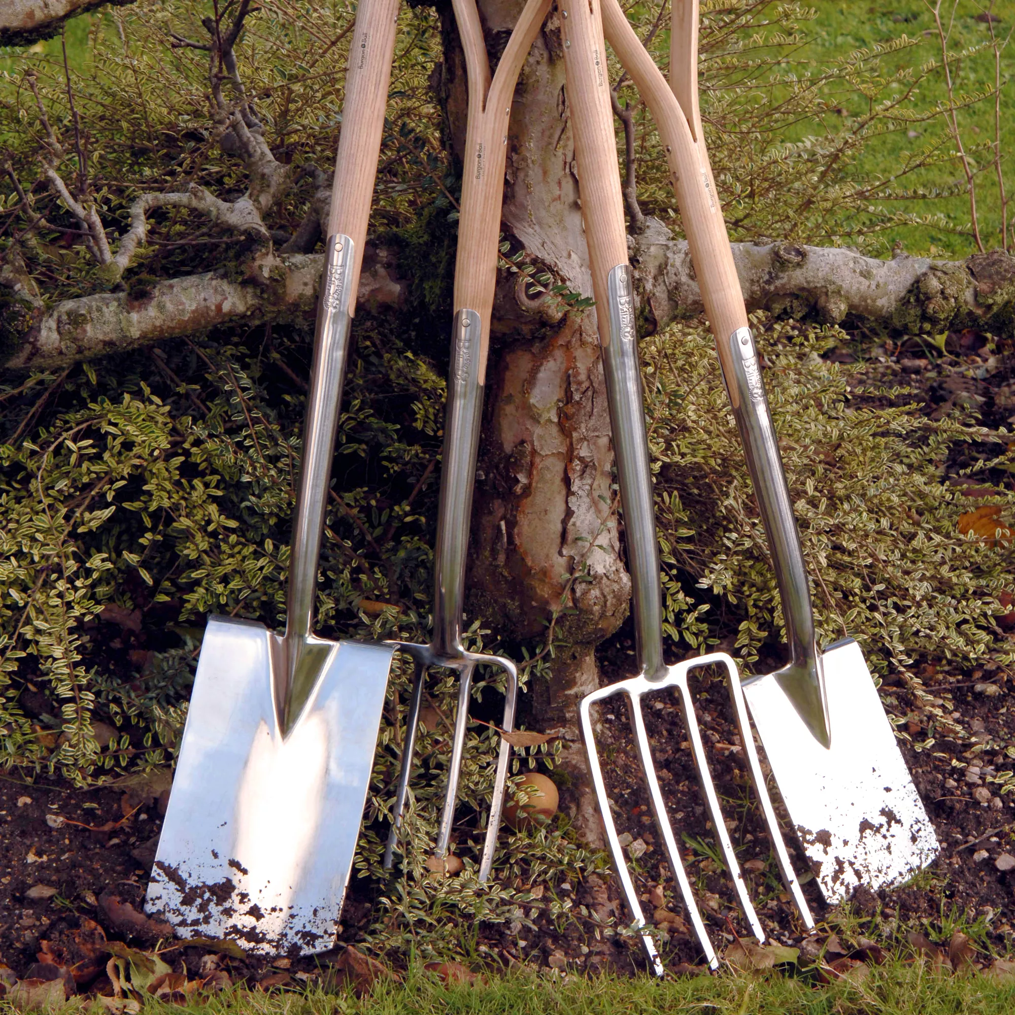 Burgon & Ball Border Fork (W)180mm 3 Burgon & Ball Border Fork (W)180mm - Image 3