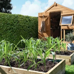 Forest Garden 8x6 Ft Apex Shiplap Wooden 10 Windows Shed With Floor -Plant Garden World forest garden 8x6 ft apex shiplap wooden 10 windows shed with floor5013053185094 05i bq