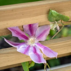 Forest Garden Living Screen Natural Timber Rectangular Planter (H) 180cm X (W) 90cm 8 Forest Garden Living Screen Natural Timber Rectangular Planter (H) 180cm X (W) 90cm -Plant Garden World forest garden living screen natural timber rectangular planter h 180cm x w 90cm5013053190227 02i
