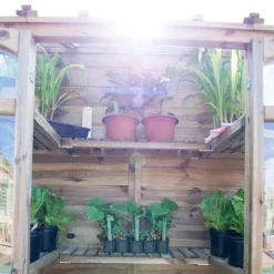 Forest Garden Natural Timber 5x2 Greenhouse -Plant Garden World forest garden natural timber 5x2 greenhouse5013053176375 05i