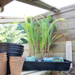 Forest Garden Natural Timber 5x2 Greenhouse -Plant Garden World forest garden natural timber 5x2 greenhouse5013053176375 06i