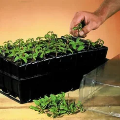 Haxnicks Deep Rootrainer 37cm -Plant Garden World haxnicks deep rootrainer 37cm0651609107012 01i