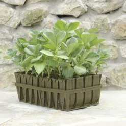 Plant Garden World -Plant Garden World haxnicks deep rootrainer 37cm0651609107012 01i bq