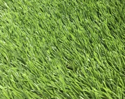 Maple High Density Artificial Grass (L)4m (W)2m (T)39mm 12 Maple High Density Artificial Grass (L)4m (W)2m (T)39mm -Plant Garden World maple high density artificial grass l 4m w 2m t 39mm3663602425274 36c
