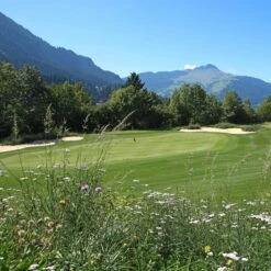 Meadowmat Wildflower Turf, 20m² Pack -Plant Garden World meadowmat wildflower turf 20m pack04168157 04i bq