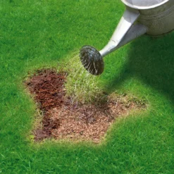 Miracle-Gro Patch Magic Lawn Patch Repairer 13m² 1L 1kg -Plant Garden World miracle gro patch magic lawn patch repairer 13m 1l 1kg5010272090567 02i bq