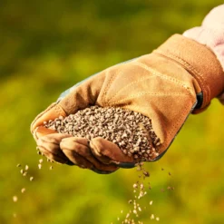 Miracle-Gro Perform Universal Plant Feed Granules 2kg -Plant Garden World miracle gro perform universal plant feed granules 2kg5010272189032 01i BQ