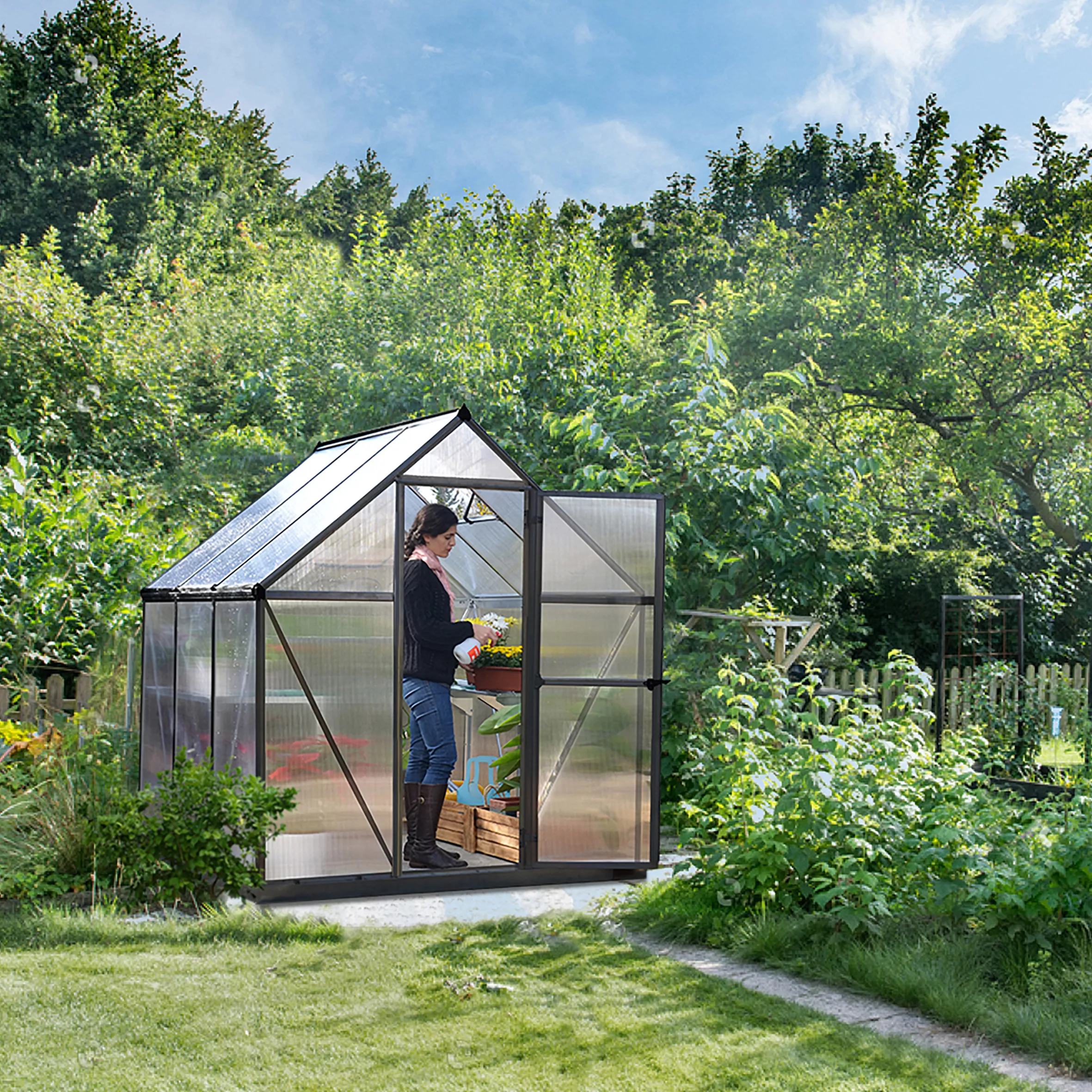 Palram - Canopia Mythos Grey 6X6 Greenhouse 5 Palram - Canopia Mythos Grey 6X6 Greenhouse - Image 5