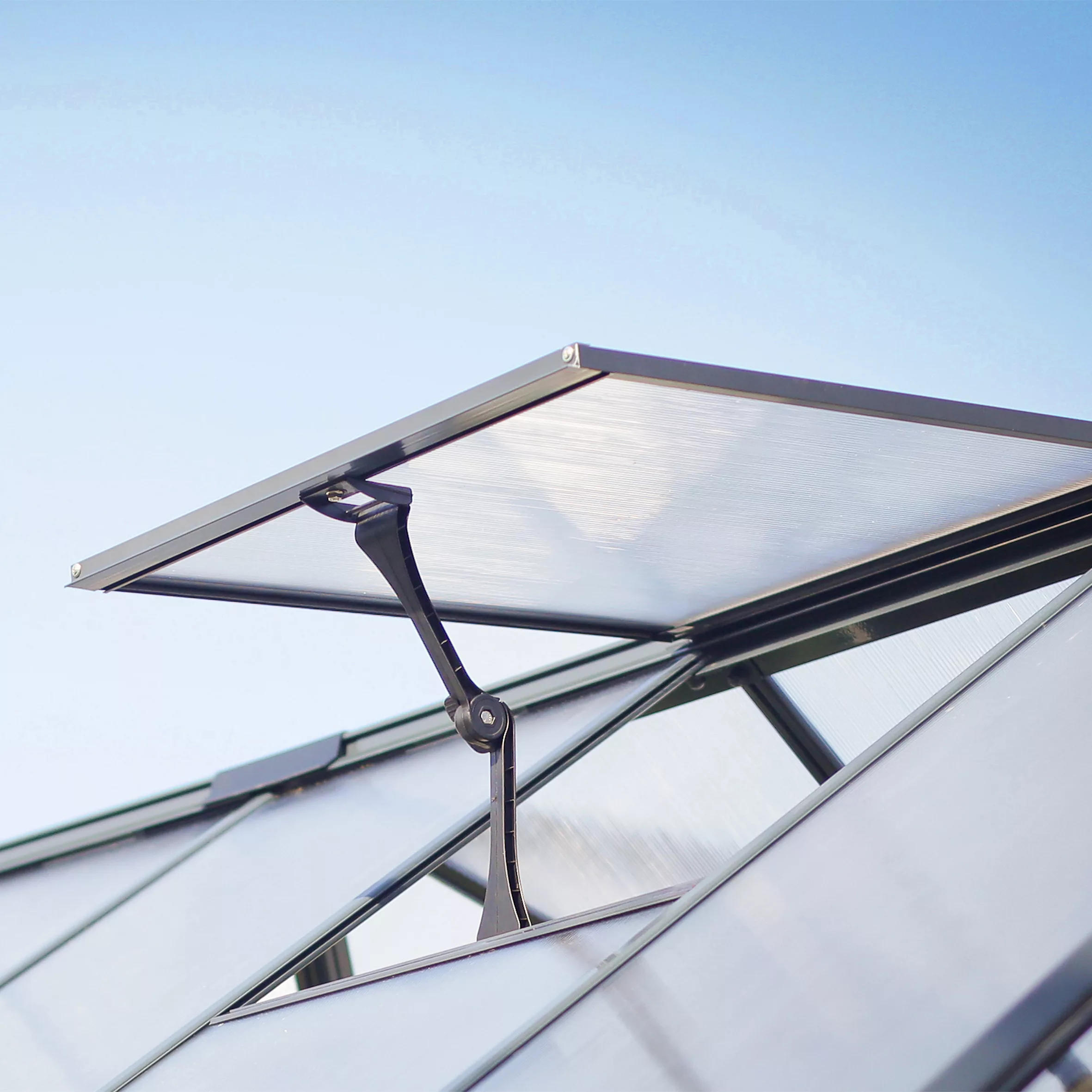 Palram - Canopia Mythos Grey 6X6 Greenhouse 6 Palram - Canopia Mythos Grey 6X6 Greenhouse - Image 6