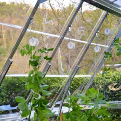 Palram - Canopia Trellising Kit White -Plant Garden World palram canopia trellising kit white7290103121365 01i BQ