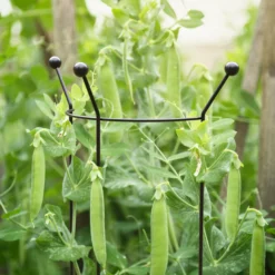 Plant Garden World -Plant Garden World panacea steel curved plant support frame l 147cm dia 37cm0093432825501 01i bq