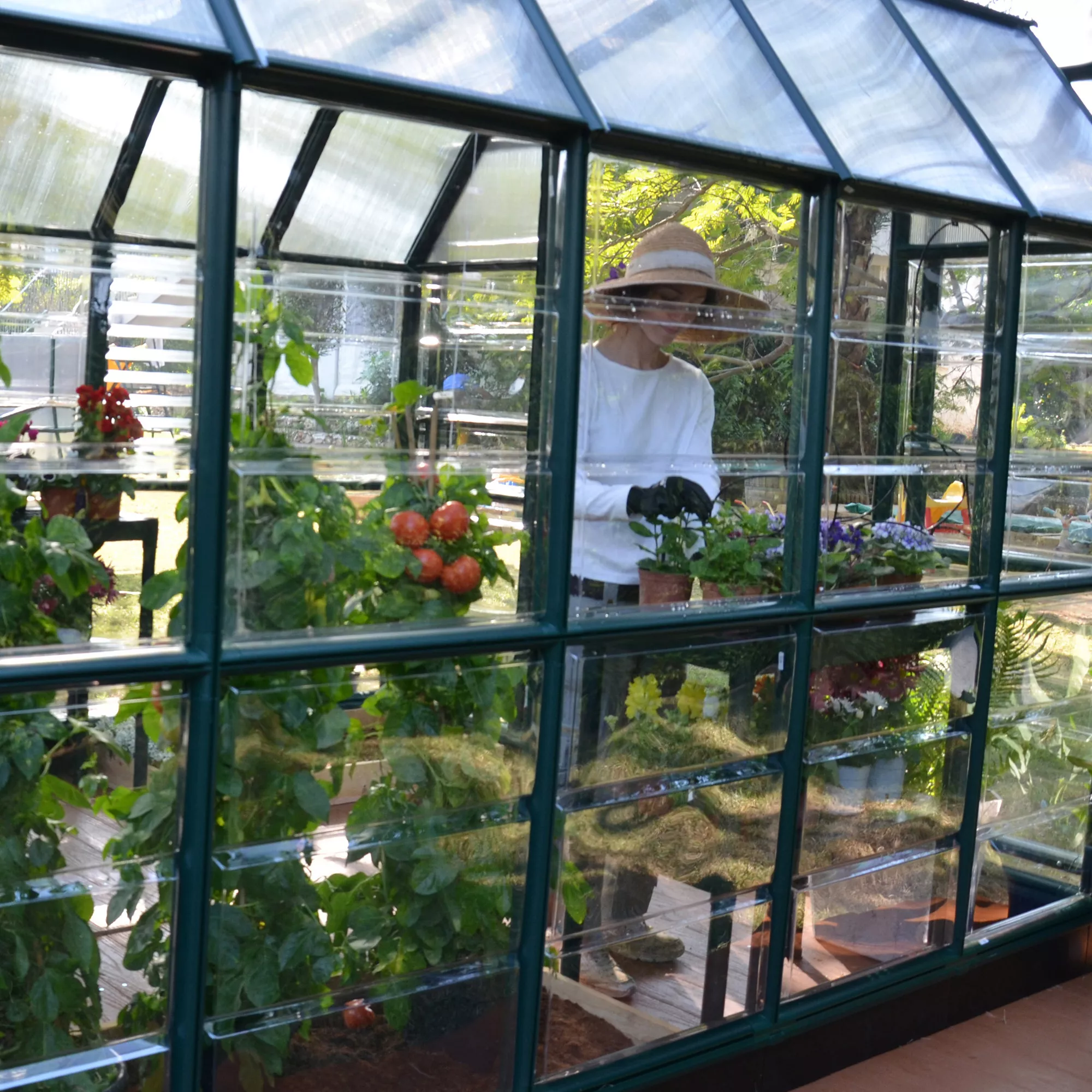 Rion Grand Gardner Green 8x16 Greenhouse 6 Rion Grand Gardner Green 8x16 Greenhouse - Image 6