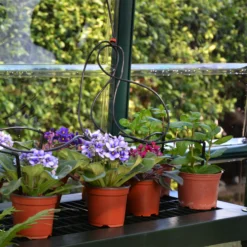 Rion Grand Gardner Green 8x16 Greenhouse 10 Rion Grand Gardner Green 8x16 Greenhouse -Plant Garden World rion grand gardner green 8x16 greenhouse7290103121594 37c