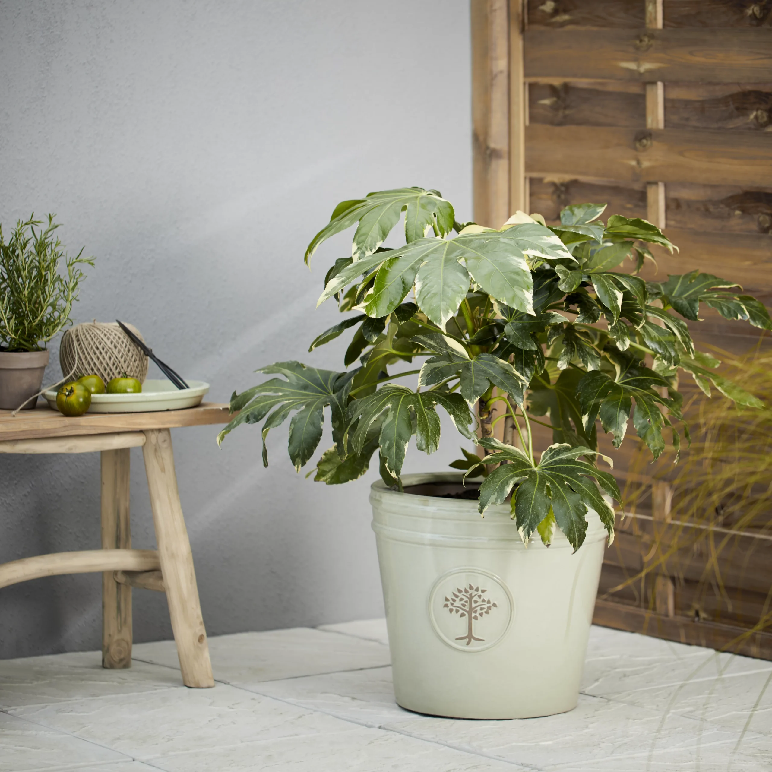 Verve Barcău Olive Ceramic Circular Plant Pot (Dia)40cm 3 Verve Barcău Olive Ceramic Circular Plant Pot (Dia)40cm - Image 3