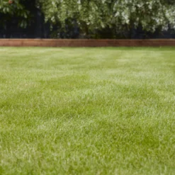 Verve Universal Grass Seeds, 5kg -Plant Garden World verve universal grass seeds 5kg3663602947455 01i