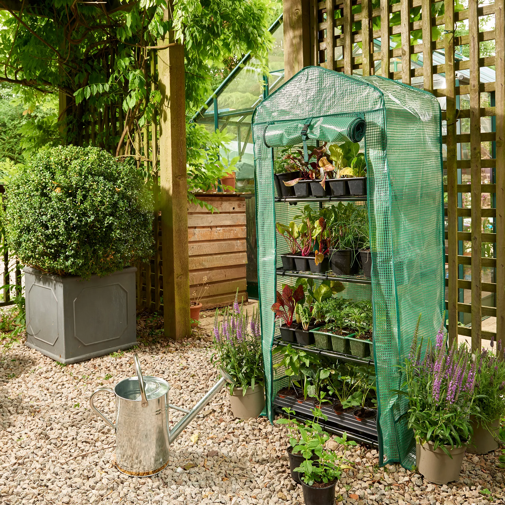 Westland Plastic Grow It Premium 4 Tier Compact Growhouse 1 Westland Plastic Grow It Premium 4 Tier Compact Growhouse