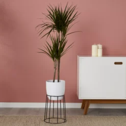 White Ceramic Round Plant Pot (Dia)21.5cm -Plant Garden World white ceramic round plant pot dia 21 5cm3663602440826 01i bq